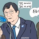 조수연 카카오 검색결과