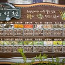유성온천개발