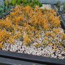 용토목장 이미지