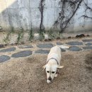 덕포스테이 | 거제 오션뷰 숙소 에어비앤비 덕포스테이 펜션 방문후기