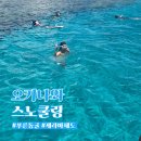 푸른 | 오키나와 푸른동굴 스노쿨링 남부 예약 후기
