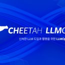 에이프 이미지