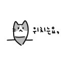 뉴욕야시장창원중앙점 이미지