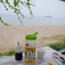 동해활어 이미지