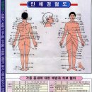 전국유명진료담당 이미지