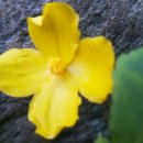 완숙골약수터 이미지