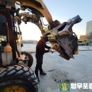 (주)서일아스콘