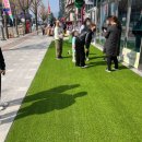 아이펫샵 이미지