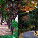 농협대학교 이미지