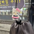 [NOTHING WRITTEN] 낫띵리튼 넬라백 (Nella strap bag_Dark Browm) 기본 사이즈 구매 후기