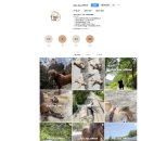탑(TOP) 승마클럽 이미지