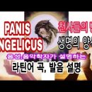 생명의 양식/ panis angelicus노래 뜻 이미지