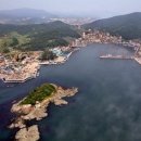 The 산수유 이미지