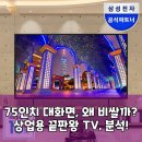상업용 75 | 삼성 75인치 비즈니스 TV BE75D-H, 가정용과 뭐가 다를까? 팩트체크