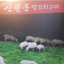 신천운양꼬치 이미지