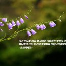 기억사진관_ 이미지