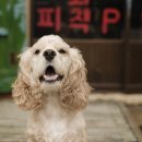 함덕조용한게스트하우스