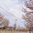 기산초등학교 앞 이미지