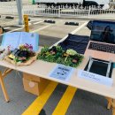 정가네 홍탕 이미지