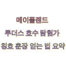 훈장 | 메이플랜드 루더스 호수 탐험가 칭호 훈장 얻는 법 요약