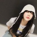 조이캣 이미지