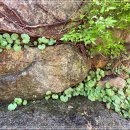 진달래어린이공원 화장실 이미지