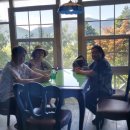 고성농장 이미지