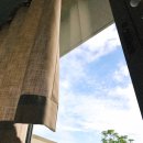 한동리브로콜리 이미지