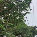 동일2리 이미지