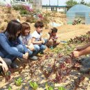 기두농장 이미지