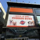 펫클럽 | 양산 펫클럽 프렌차이즈 간판 고무스카시 실사출력물 교체 시공 후기