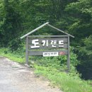 도기도기펜션 이미지