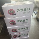내포글로벌유치원