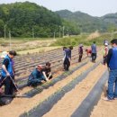 고삼면사무소 이미지