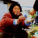 명성굼벵이 이미지