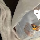 앤봄의원 이미지