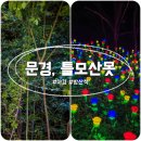 문경 가볼만한 곳 틀모산못 생태공원 저수지 야경 밤산책