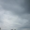 24년 5월 영화 공감 모임 후기 (47회, 예감은 틀리지 않는다, 체실 비치에서, 청년 예술청)