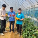 김포시농업기술센터 이미지