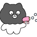 앤더독 이미지