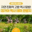 대가야역사테마관광지 | 자연 · 역사 · 문화를 한눈에 만나볼 수 있는 고령 대가야역사테마관광지