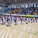 빅토리태권도 이미지