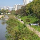 서호천에서 만난 반가운 인연 이미지