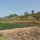 신라부동산공인중개사사무소 이미지