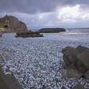 해안공인중개사사무소 이미지