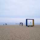 콩마을 순두부 이미지