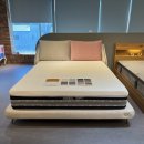 까사비용 이미지