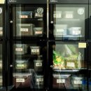 경희회오리한의원 이미지