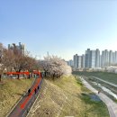 덕풍천서로 이미지