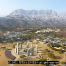 영애네닭강정